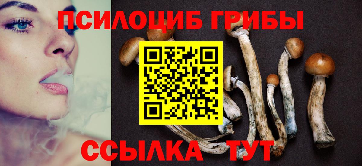 Псилоцибиновые грибы Cubensis Оренбург